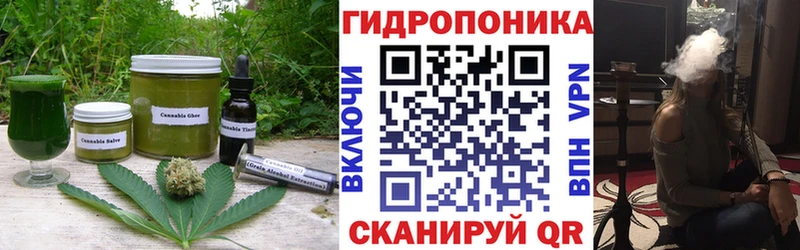 Купить закладки  Кизилюрт  Печенье с ТГК конопля 