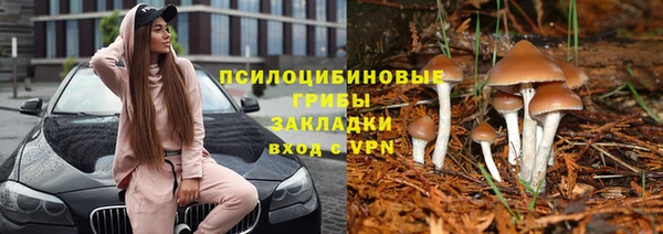 mix Алексеевка