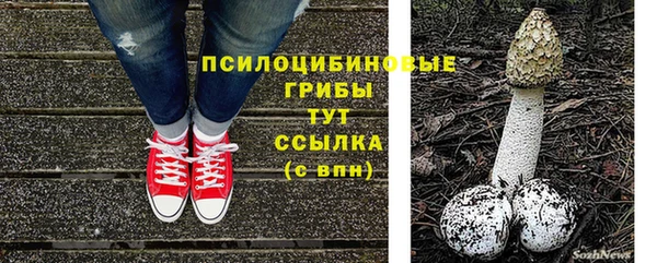 а пвп мука Алзамай