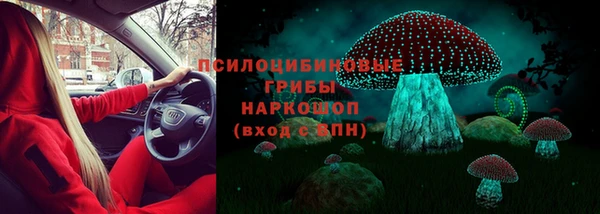 а пвп мука Алзамай