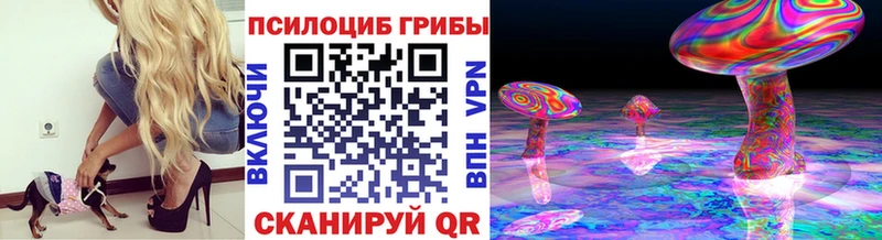 Галлюциногенные грибы Psilocybe  Купить закладки  Кизилюрт 
